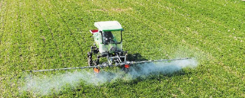 常见的除草剂有哪些种类，不同种类的除草剂具体药效都有什么不同