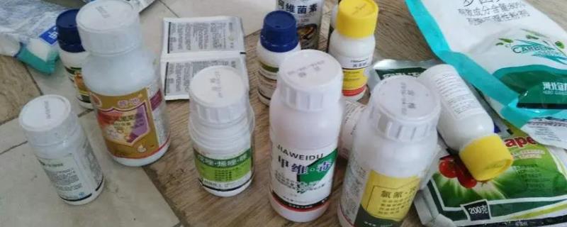 究竟如何快速地识别假农药，这七大技巧一定要学会