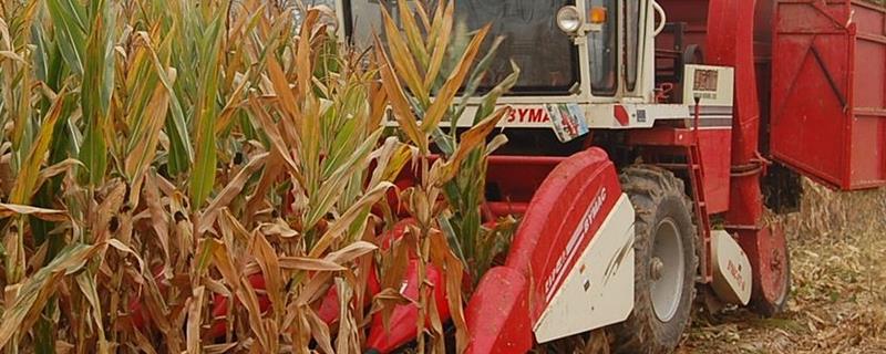 收割机在使用之前该如何进行维护，润滑机油一定要注意及时地定期更换