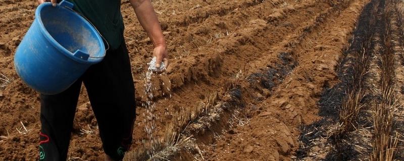 商品有机肥的优点有哪些，养分比例合理可以更加快速地改良土壤质量