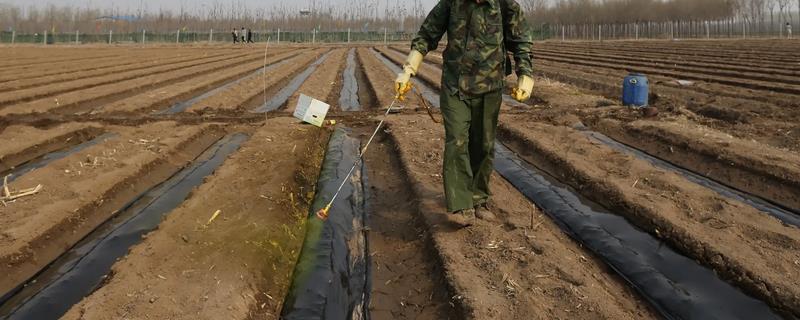 除草剂喷施后遇到下雨会失效吗，在下雨前六小时打药就不会失效了