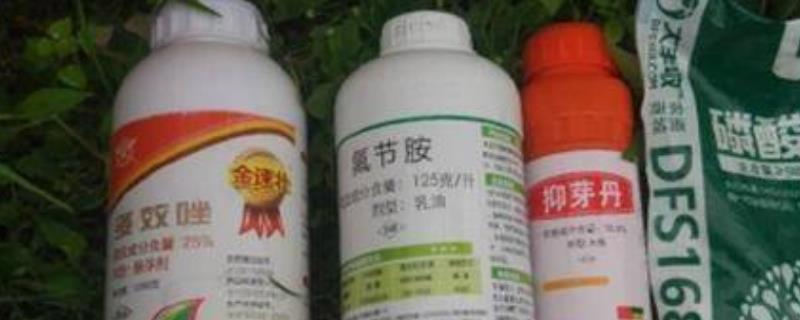 多效唑和芸苔素能不能够一起喷施，它们的功能并不相同所以不建议同时进行使用