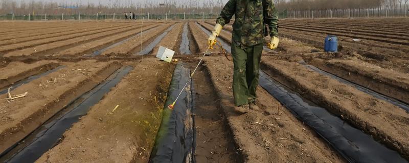 肥料品种分类有哪些，通常可以分为有机肥料和无机肥料这两大类