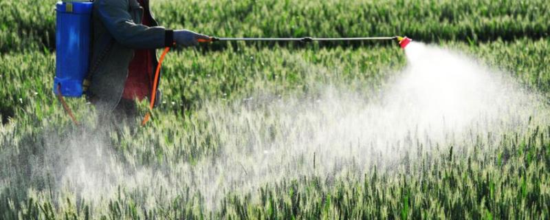 恶霉灵的具体作用有哪些，它真的能够杀死隐藏在土壤中的病原菌吗