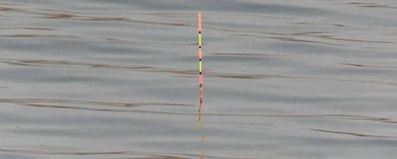 钓鱼适合使用什么样的浮漂，主要取决于具体的垂钓要求是什么