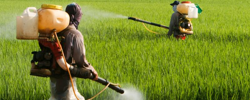 农用有机硅增效剂的优势有哪些，它还可以减少农药造成的污染