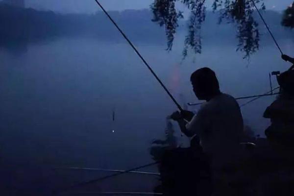 夜钓鱼什么时候开口,8-9、11-3点鱼儿比较活跃