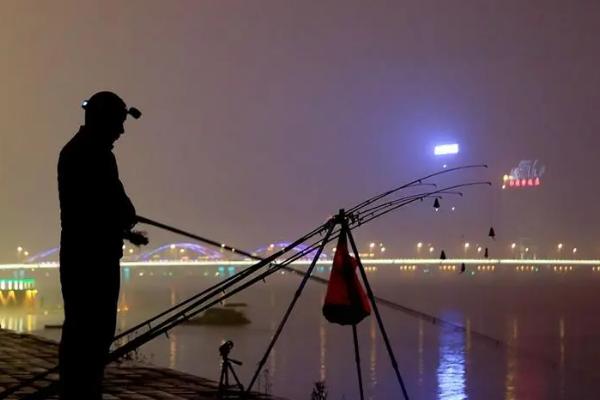 夜钓鱼什么时候开口,8-9、11-3点鱼儿比较活跃