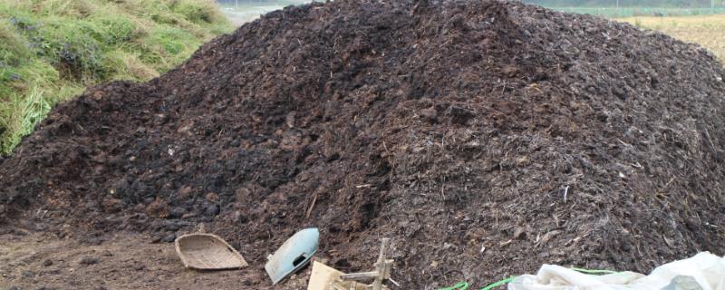 农闲时节该怎么科学囤积农家肥，可以选择在方便运输的位置进行堆积和发酵肥料