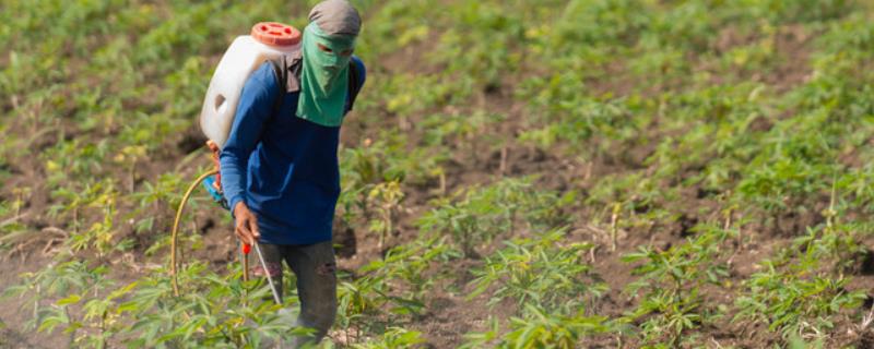 喷完除草剂后要过多久下雨才没有影响，这和所使用的除草剂具体种类有关系吗