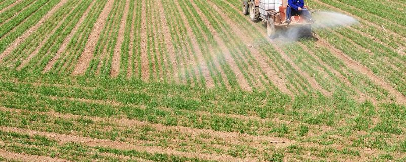 磷酸二氢钾隔多长时间喷施一次比较好，每隔十天至十五天喷施一次最为适宜