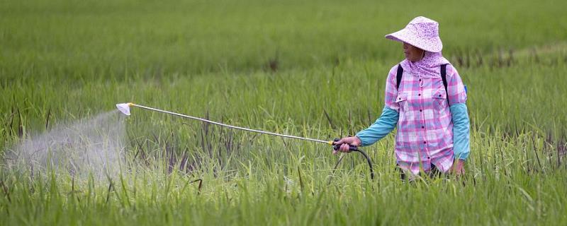 嘧菌酯具体有哪些突出的特性，其对病菌的活性较高且能广泛适用于多种农作物