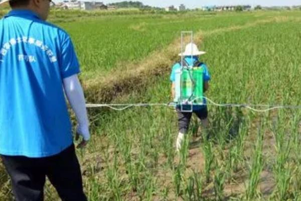吡虫啉的主要防治对象,主治蚜虫、蓟马等刺吸式口器害虫