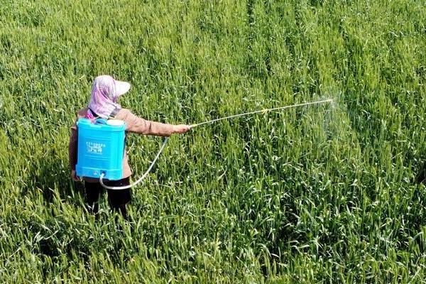 吡虫啉的主要防治对象,主治蚜虫、蓟马等刺吸式口器害虫