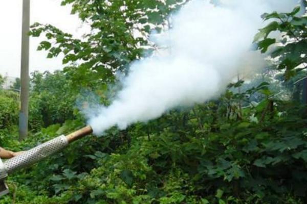 吡虫啉的主要防治对象,主治蚜虫、蓟马等刺吸式口器害虫
