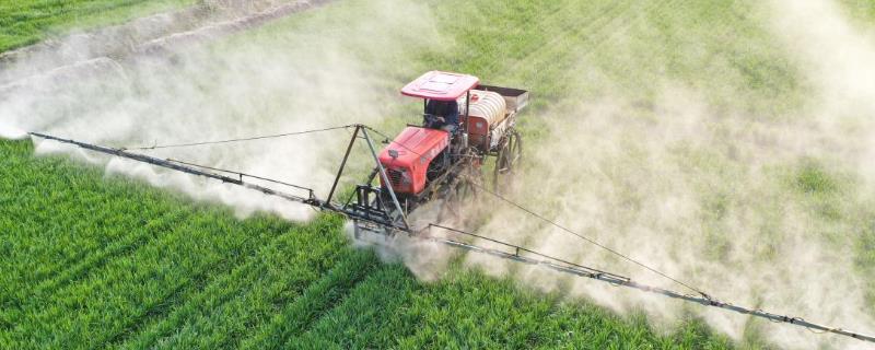 麦草畏可以防治哪些对象，它可以用来灭杀一年生阔叶杂草吗