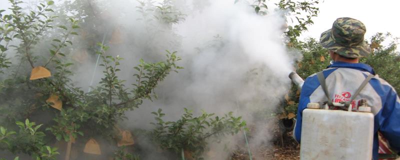 吡蚜酮和吡虫啉具体有什么不同之处，吡蚜酮属于非杀生性杀虫剂、吡虫啉具有很强的触杀效果