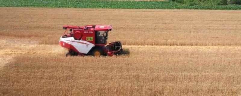 农机补贴公示的具体时间是多久，通常情况下相关部门需要公示满30天