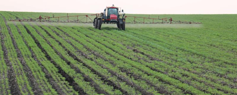 大豆田应该如何正确使用乙草胺，各个不同地区的具体施药方法并不相同