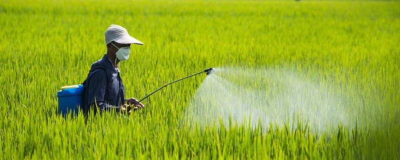 使用微生物农药有哪些核心注意事项，不宜在温度极高且光照强烈的环境下使用