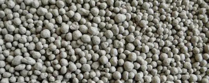 镁元素对农作物有哪些具体作用，它能促进光合作用产出并提升作物抗病能力