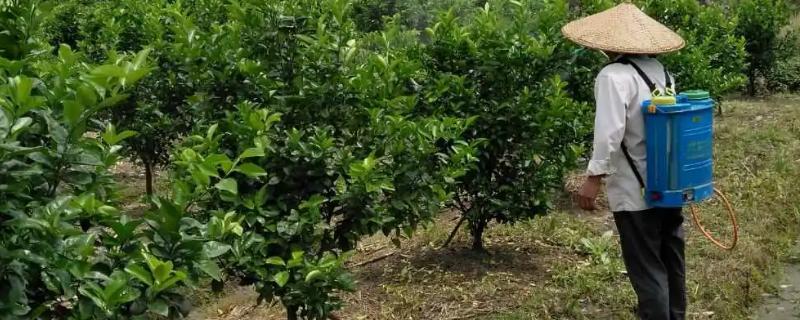 螺螨酯具体有哪些特点，它可防治的有害螨类有哪些