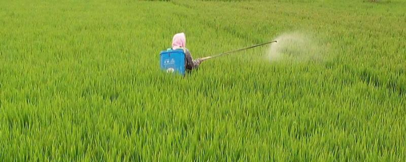 叶枯唑的具体作用有哪些，它是主要用来防治植物各种细菌性病害的药物
