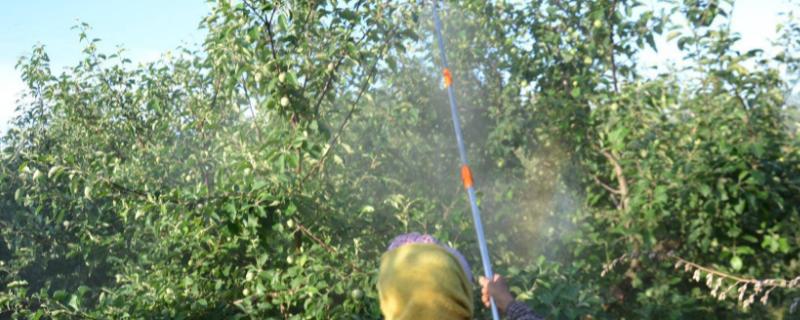 丁硫克百威的作用是什么，它能防治蔬菜果树及粮食等作物上面的多种害虫