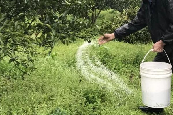 怎么提高肥料的利用率,可将化肥与农家肥结合使用