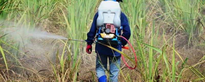 农药的科学复配方式有哪些，常见的具体包括这几种