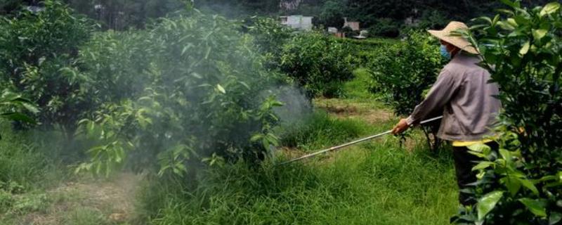 氨基酸肥料的优点有哪些，通常包含以下这5个点