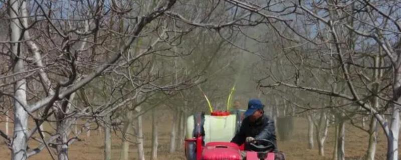 石硫合剂的忌用事项具体有哪些，我们在使用时一定要加倍谨慎使用