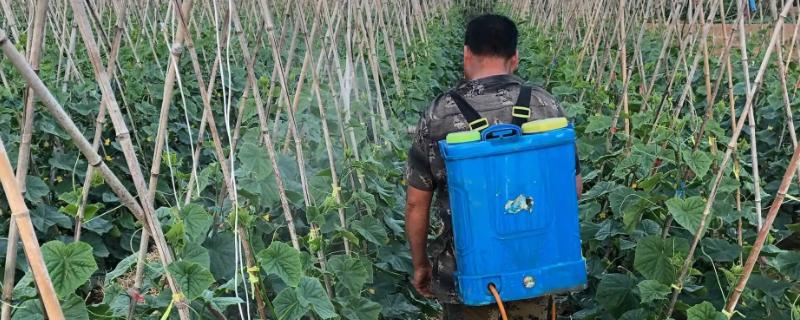 氟啶虫酰胺的具体作用方式有哪些，它具有极强的触杀效果和胃毒作用