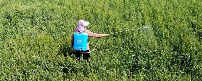 除草剂混用时有哪些注意事项，应当在具体的技术人员指导下进行操作