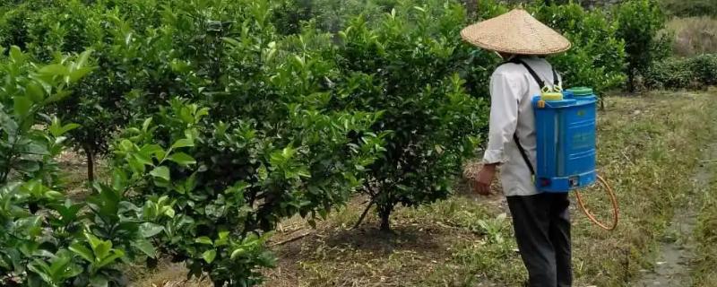 氟螨嗪的主要作用有哪些，它对成螨若螨幼螨以及卵均有显著效果