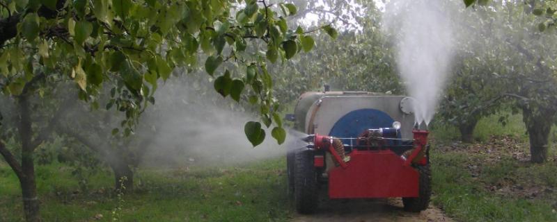 辛硫磷到底如何正确使用，面对不同害虫用法各有讲究