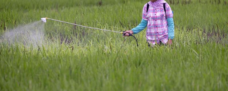 吡唑醚菌酯具体应该怎么使用，可以根据不同的使用对象兑水进行喷雾处理