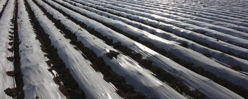 液态地膜究竟是什么，它是一种无毒、无污染并可自然降解的液体