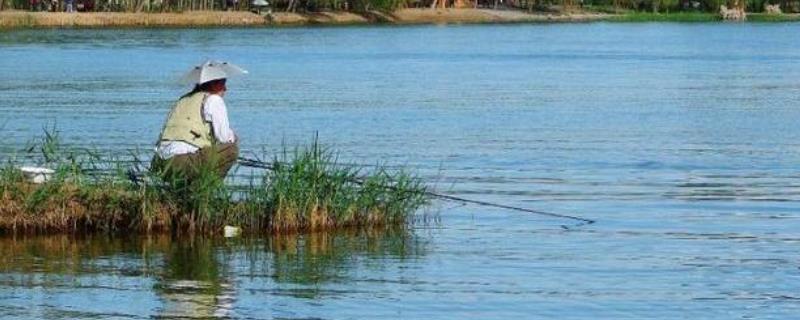 下雨的前一天真的好钓鱼吗，此时进行垂钓的难度会比较高吗