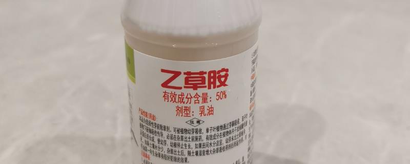 乙草胺在土壤里的持效期通常为多少天，它的持效期约为八至十个星期