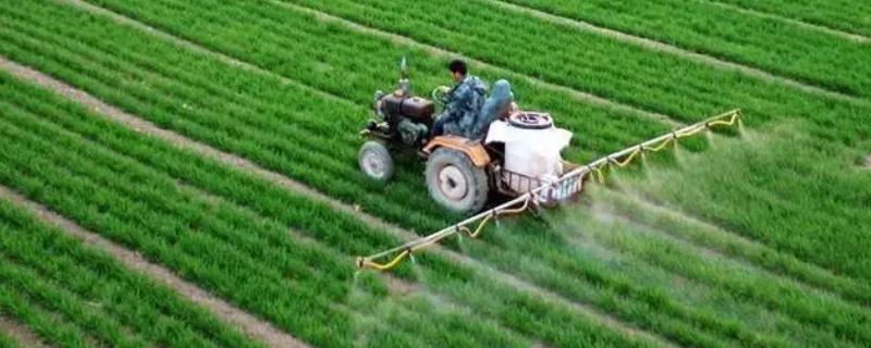 使用磷酸二氢钾需要注意什么事项，下雨天气以及带有露水的时间段都不建议进行喷施