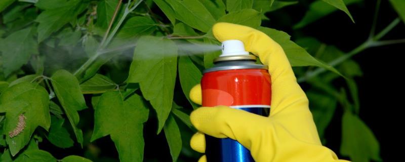 杀虫剂的作用具体包含哪些，具有胃毒触杀以及内吸等多种作用方式