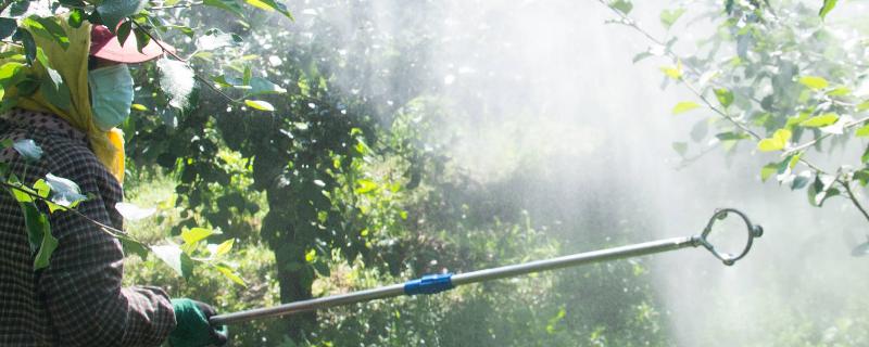 应当如何把尿素当作叶面肥进行使用，兑水稀释后即可喷施到作物叶片的正面与反面