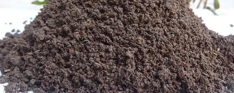 蚯蚓粪的市场价格是多少，一吨大约需要人民币360元到400元之间