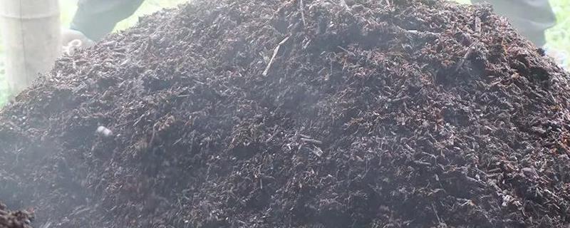 日常生活中常见的有机肥种类有哪些，堆肥和圈肥以及人粪尿其实都是可以利用的