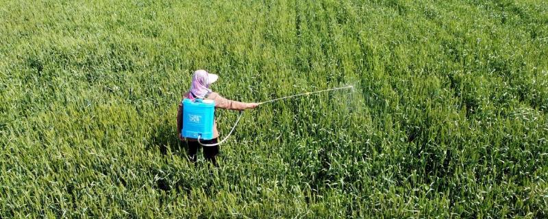 辛菌胺醋酸盐水剂具体能主治哪种病害，其中包括苹果腐烂病与水稻恶苗病及大豆根腐病等多种类型