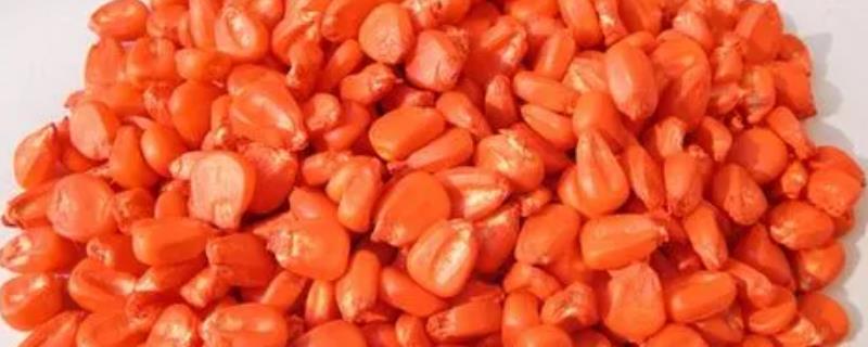 种子包衣剂究竟是什么，它指的是在种子外面包覆着含水药剂与促进生长的物质