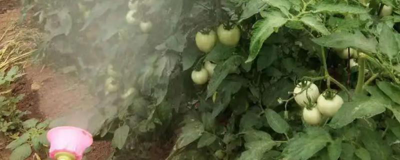 代森锌的具体作用及用法是什么，它能够用来防治多种不同类型的真菌病害