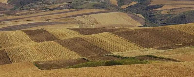 不适合覆盖地膜的五类农田地块，错误地使用反而会导致适得其反