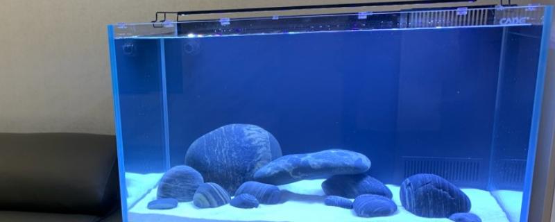 底滤鱼缸的运行水位究竟如何调节，在溢流区增加氧气供应确实可有效降低水位
